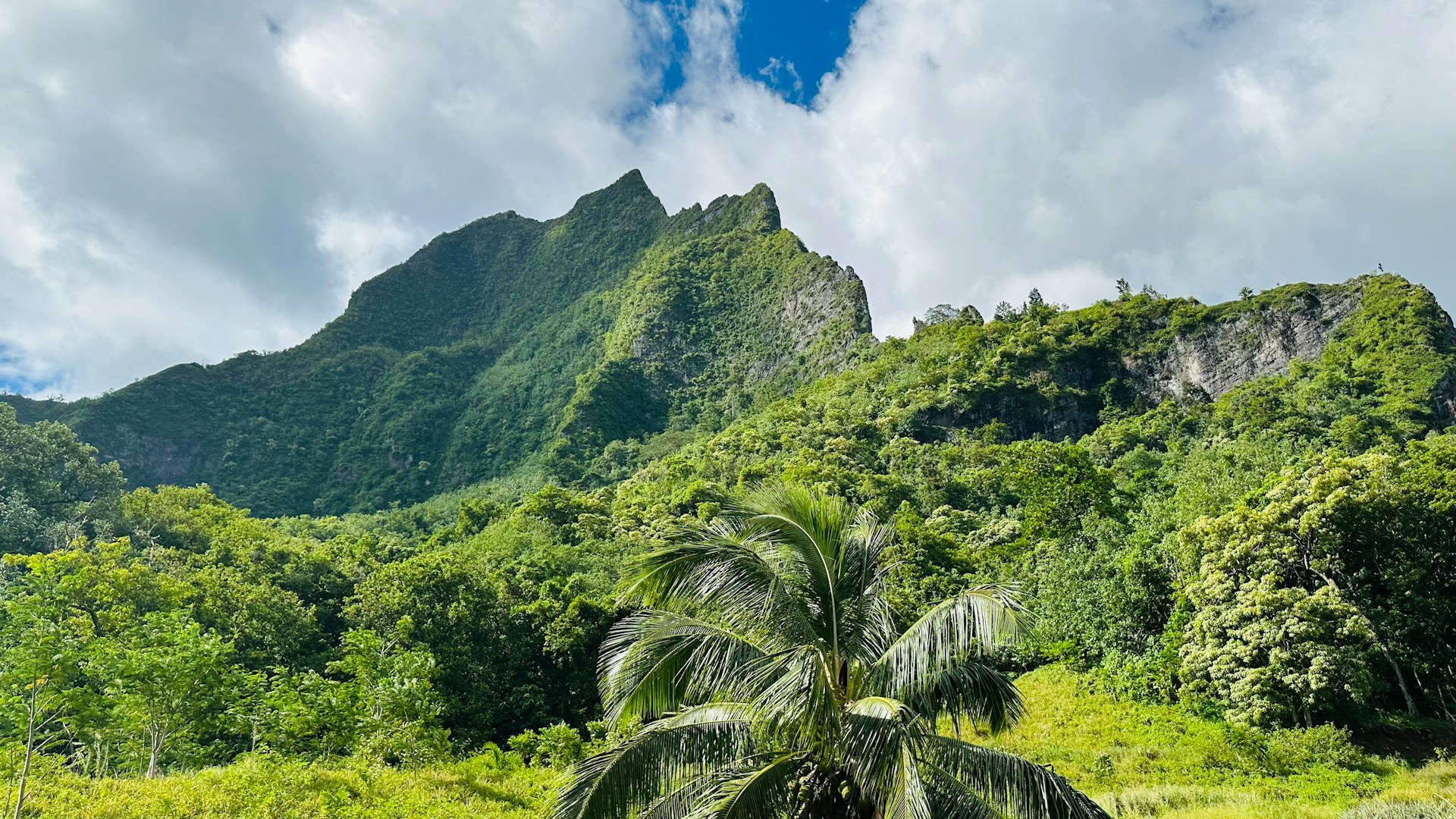 La corriente — Lemanjá, fotografía de paisaje marino